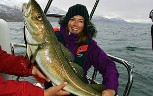 Northern Norway Fishing Lyngen Alps