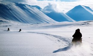 snowmobiling spitsbergen arctic wildlife dog sledding expedition
