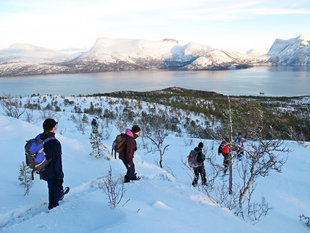 Where opportunities present, we step ashore an hike using Snowshoes