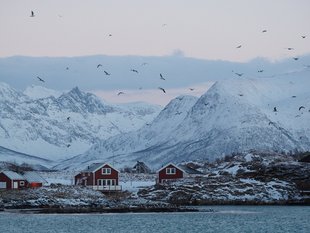 Remote fishing village amongst coastal mountains of Arctic Norway