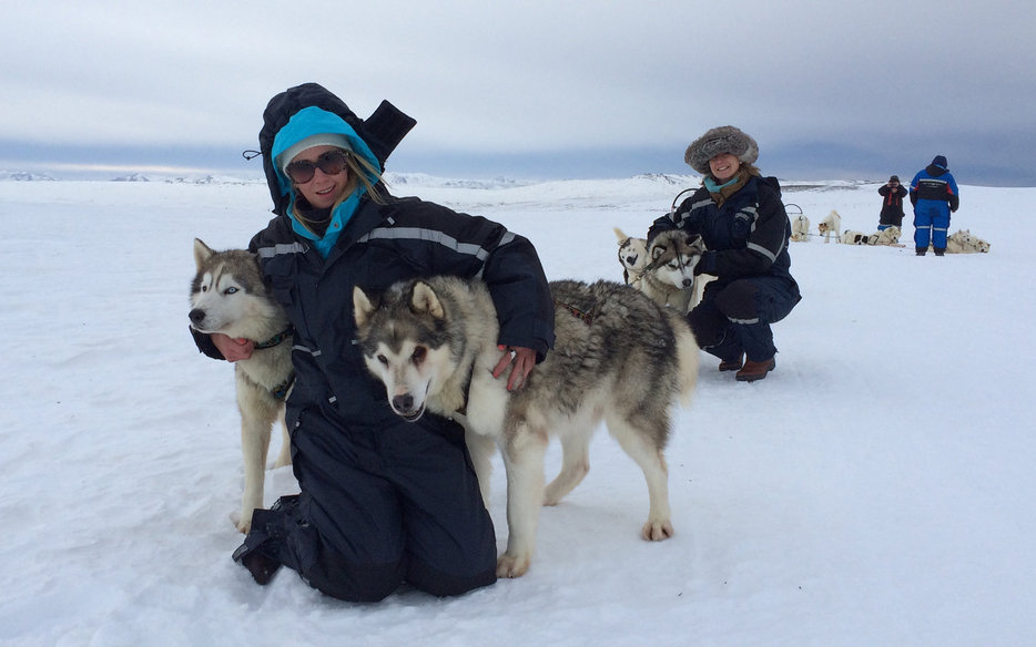 Dog Sledding Iceland Glacier Seldging Greenland Husky Dry Land Northern
