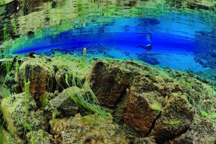 wideangle-lagoon-diver-reflection-silfra-iceland-diving.jpg