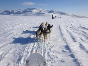dog-sledding-iceland-adventure-day-trip.jpg