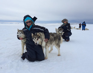 dog-sledding-iceland-sophiea-jones.jpg