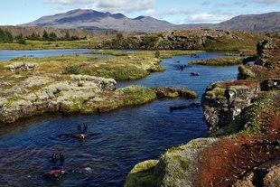 snorkelers-on-silfra-fissure-floating-in-sunny-thingvellir-by-tobias-friedrich-1800x1200.jpg