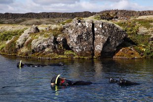 snorkelers-and-thingvellir-view-platform-by-tobias-friedrich-1800x1200.jpg