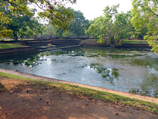 Water Gardens at Sigiriya - Jane Coleman