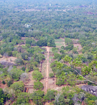 View from Sigiriya - Charlotte Caffrey