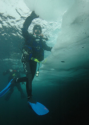 Diving in Spitsbergen