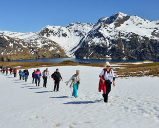 Hiking at Cobblers Cove, South Georgia - Martin van Lokven