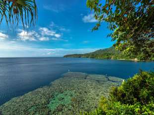 Coral Reef in Milne Bay