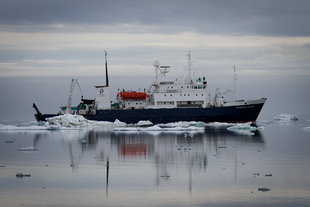 spirit-of-enderby-wildlife-marine-life-vessel-voyage-holiday.jpg