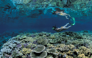 Snorkelling in New Britain - Franco Banfi