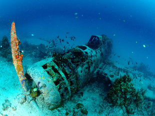 WWII Plane Wreck in New Ireland