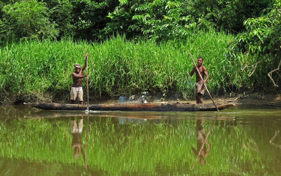 Papua New Guinea | Tribal Rainforests Bird of Paradise Coral Reefs