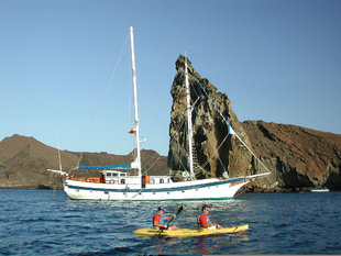 Kayaking Wildlife yacht safari Galapagos.jpg