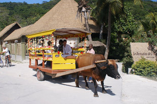 Ox Cart La Digue Charlotte Caffrey