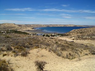 puerto-madryn-beach-orcas-sea-lions.jpg