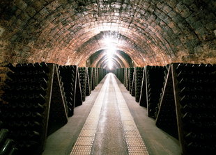 wine-cellar-mendoza-argentina.jpg