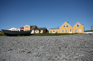 Vigur Island Iceland Kayaking Wildlife.jpg