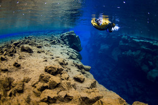 Snorkeling -Into the Blue 2 ellithor.com.jpg