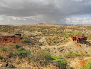 Olduvai Gorge - Ralph Pannell