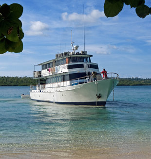 Dive Liveaboard in New Britain - Peter Lange