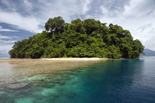 Island & Reef in Kimbe Bay - Jurgen Freund