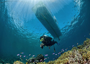 Diving in New Ireland - Don Silcock