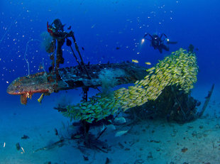 WWII Plane Wreck Diving in New Ireland - Mark Fuller