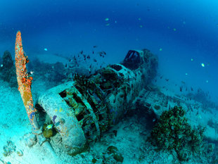 WWII Plane Wreck in the Bismarck Sea, New Ireland