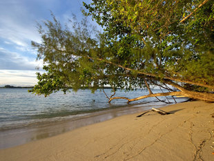 Beach in New Ireland, Bismarck Sea