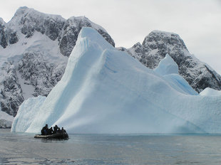 zodiac-divers-iceberg-wildlife-marine-life-voyage-cruise-adventure-holiday.jpg