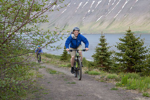 mountain biing iceland fjords forests