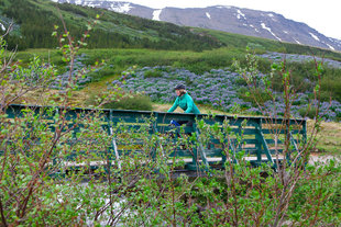 mountain biking beginners fjord views.jpg