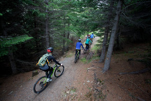 Forest Mountain Biking Iceland.jpg