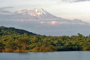 Mount Meru from Arusha National Park