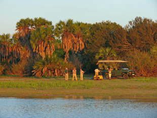 Game Drive in Selous National Park - Ralph Pannell