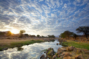 Ruaha National Park