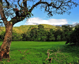 Ngurdoto Crater, Arusha National Park