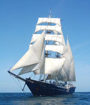 mary-anne-sailing-galapagos-yacht-safari-wildlife-marine-life.jpg