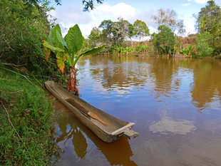 Mangabe River, Madagascar - Ralph Pannell