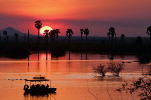 Rufiji River, Selous Game Reserve