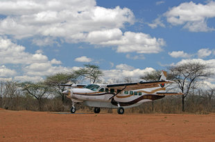 Flying Safari to Ruaha National Park