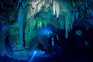 Cenotes Diving in Puerto Aventuras