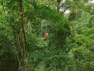 Ziplining in Corcovado National Park