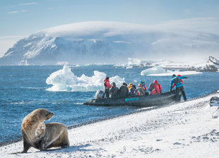 Zodiac Antarctica