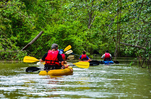 Kayaking in Manuel Antonio National Park