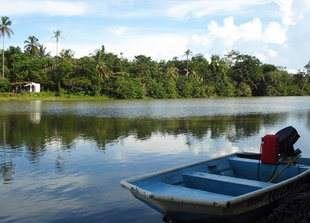 Pacuare Reserve in Tortuguero National Park