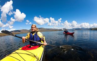 happy-kayakers-iceland-fjord-pasddling-wildlife-marine-life.jpg